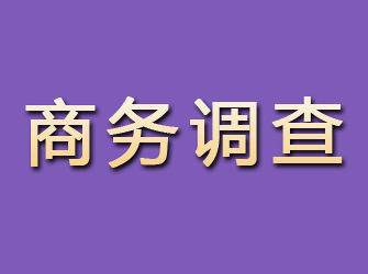 秦皇岛商务调查